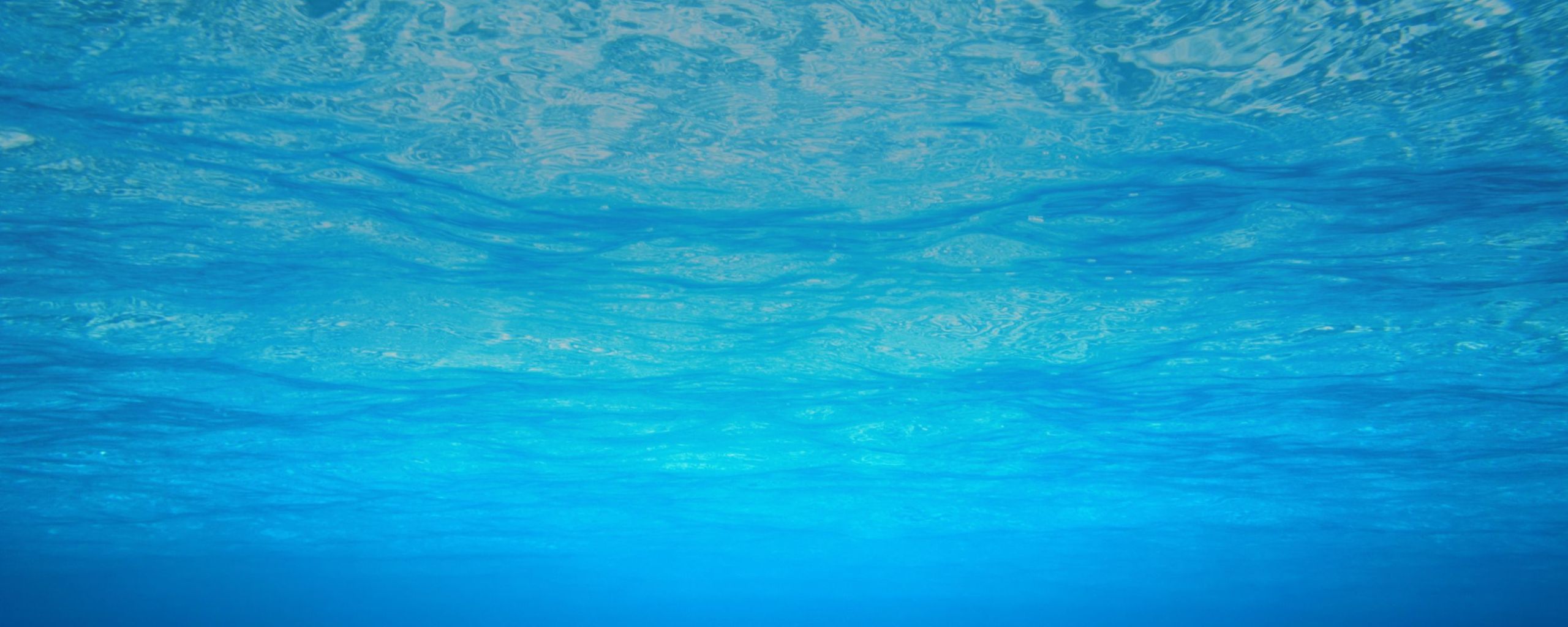 OHANA MADEIRA SURF SCHOOL